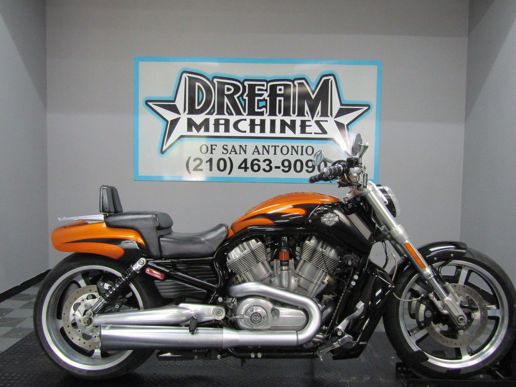 V-Rod® Muscle