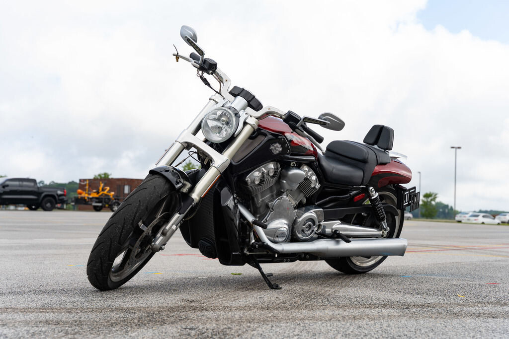 V-Rod® Muscle