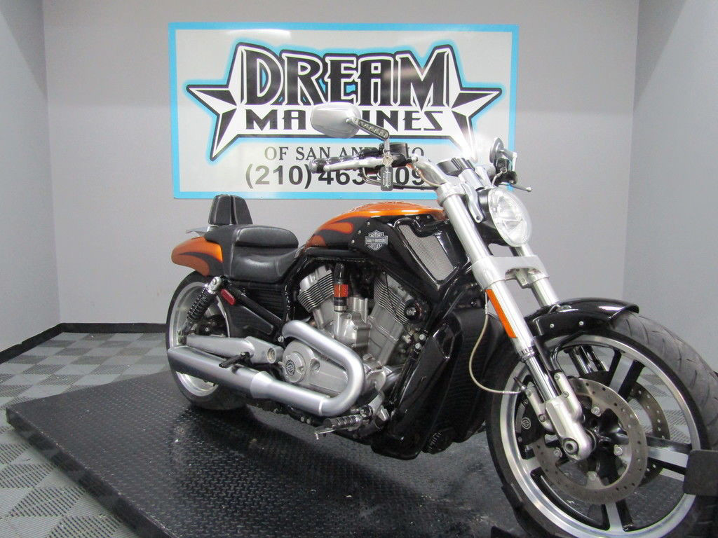 V-Rod® Muscle