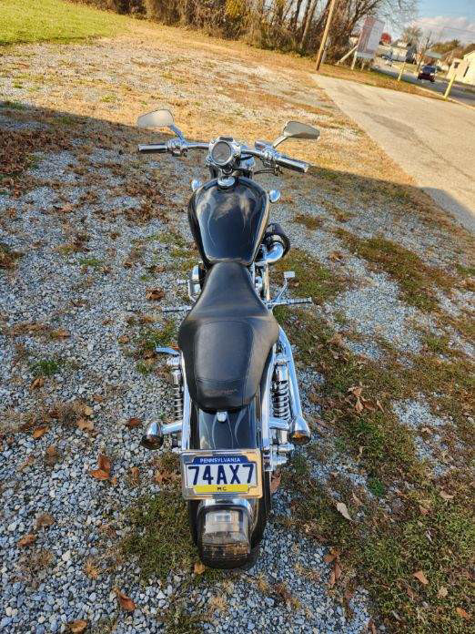 Sportster® 1200 Custom 