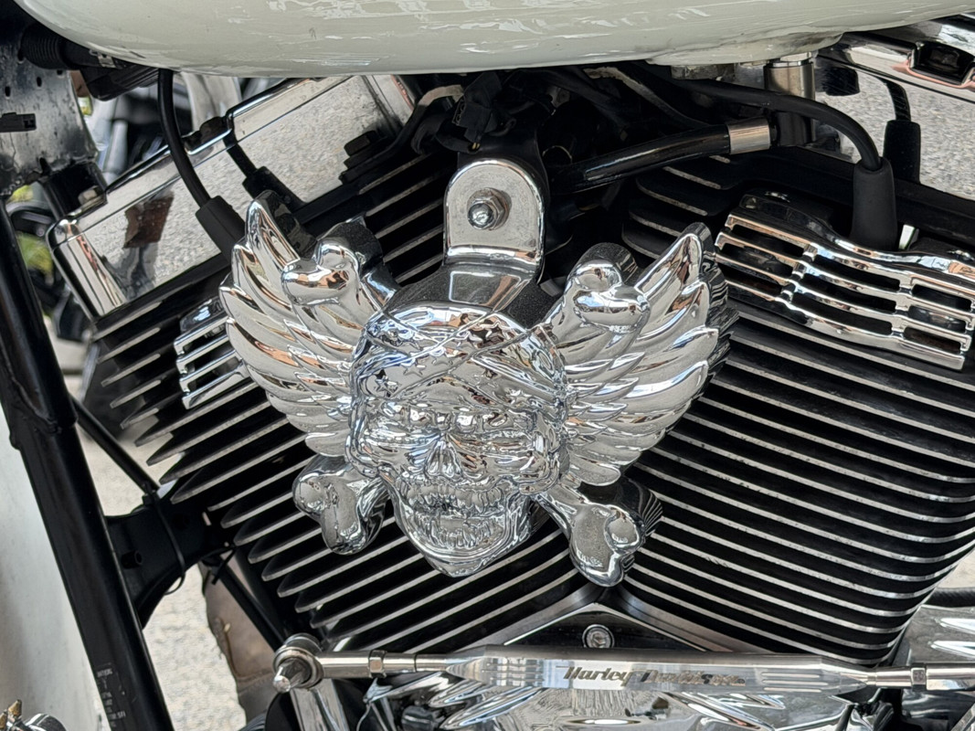 Ultra Classic® Electra Glide® 