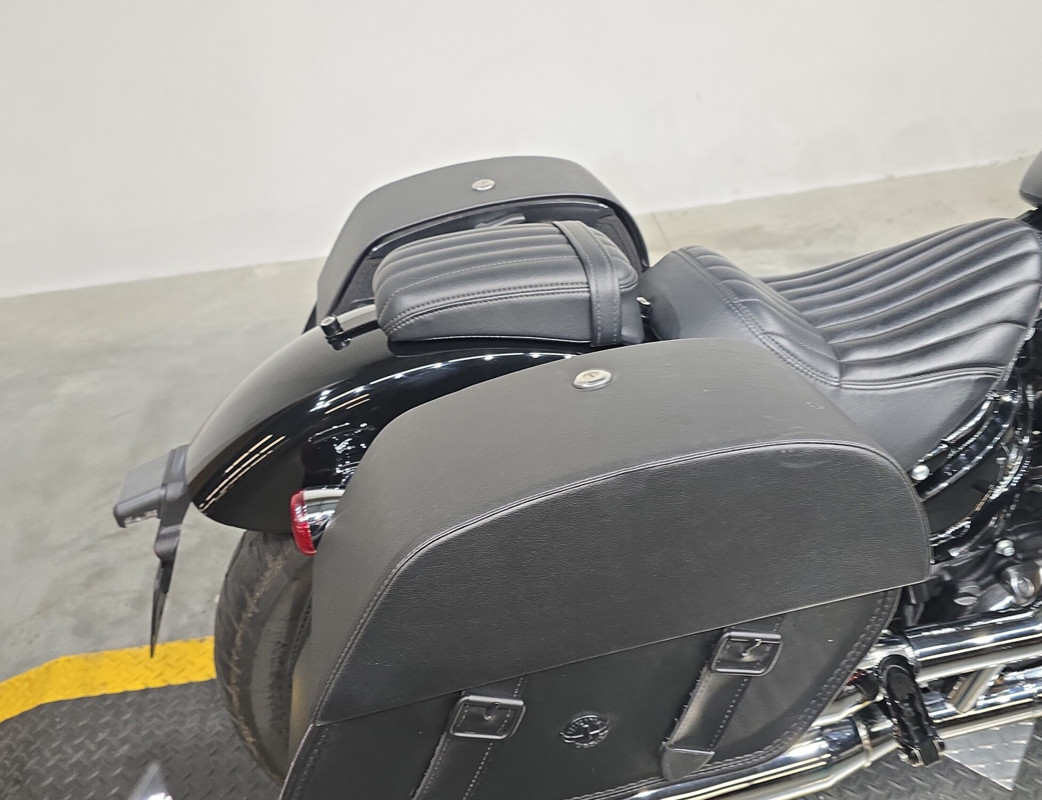 Softail® Standard