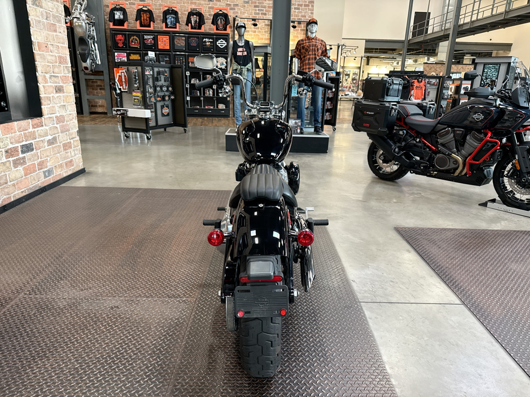 Softail® Standard