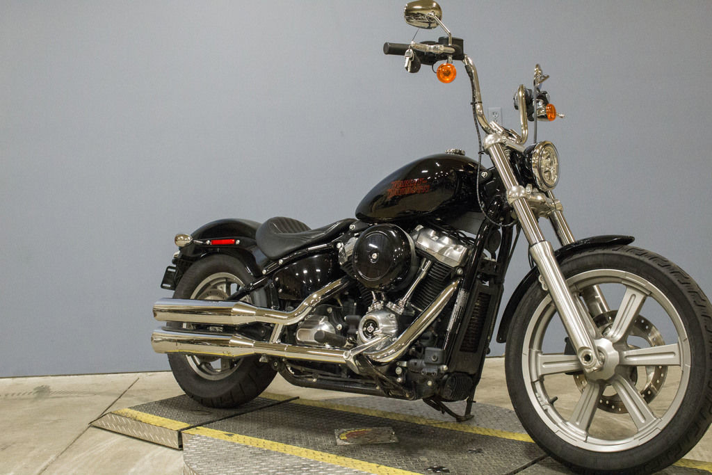 Softail® Standard