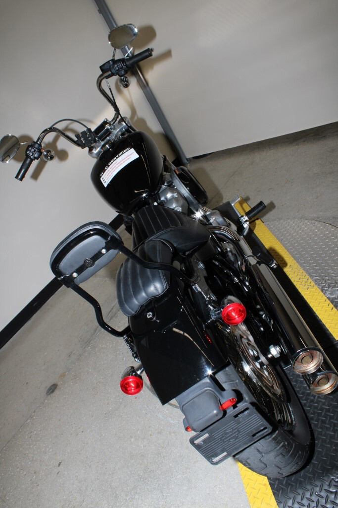 Softail® Standard