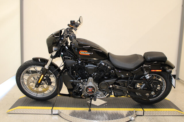 Nightster Special