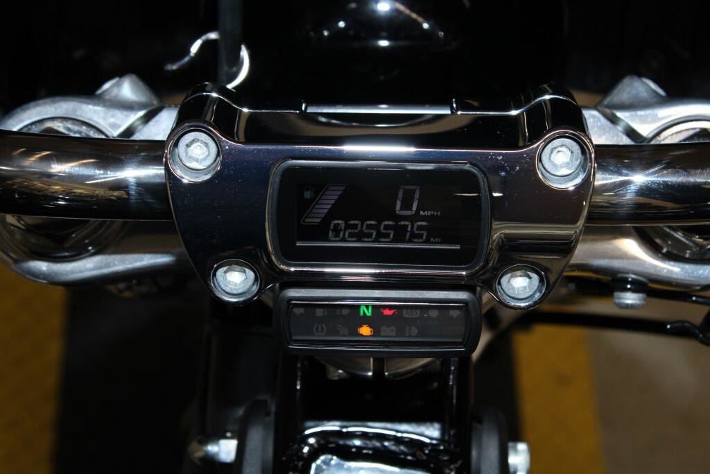 Softail® Standard