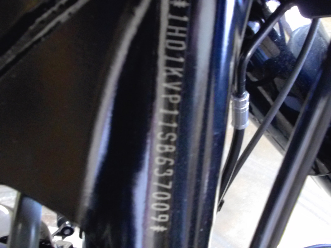 Road King® Special