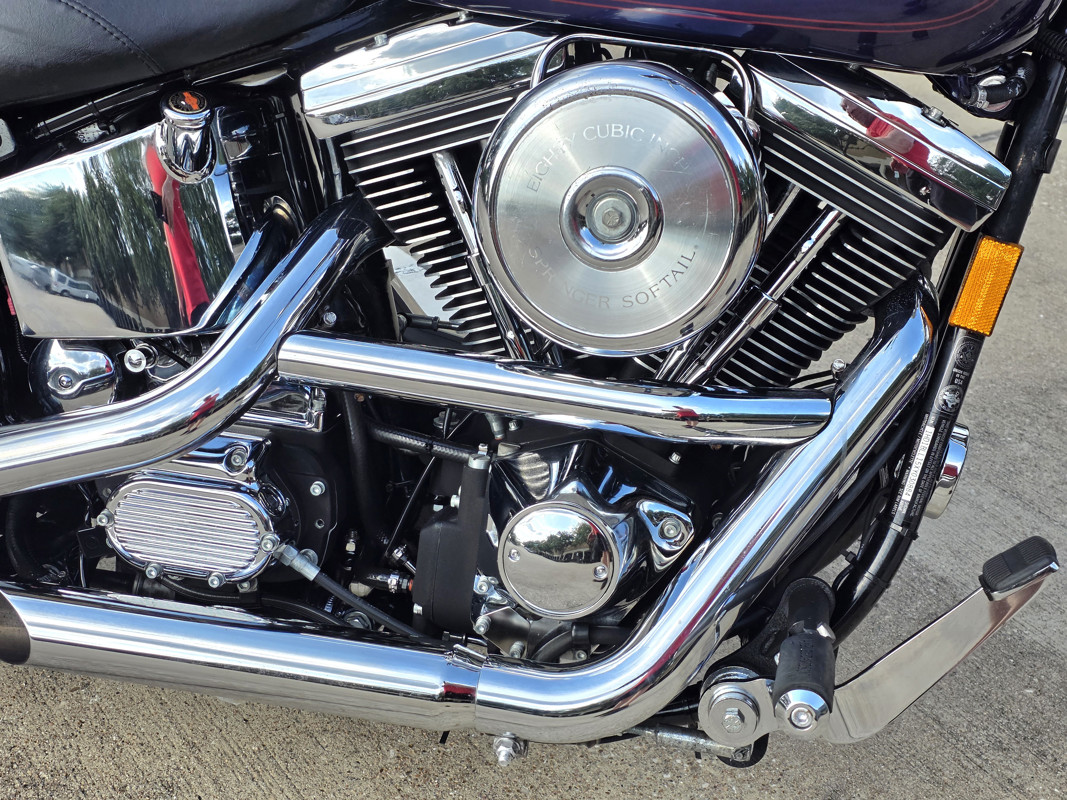 Springer® Softail®
