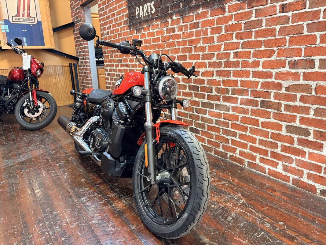 Nightster