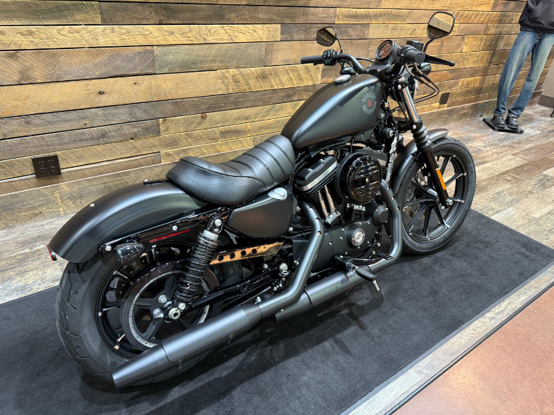 Iron 883®