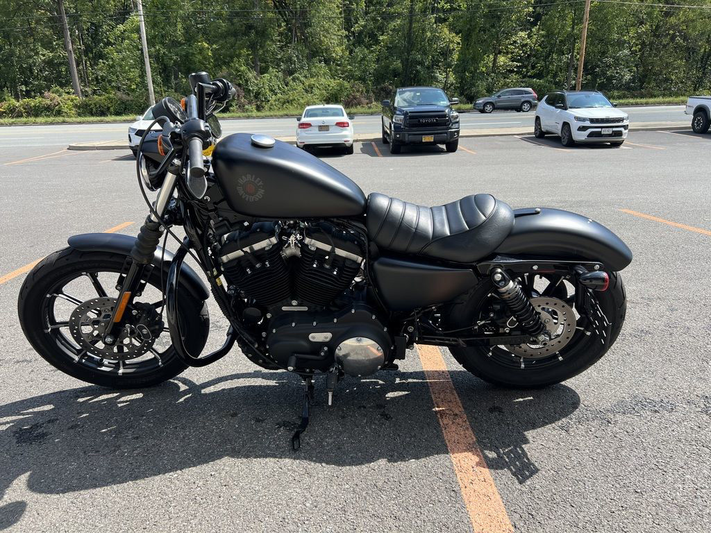 Iron 883®
