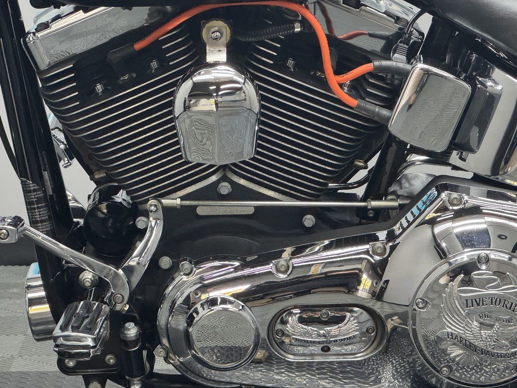 Springer® Softail®