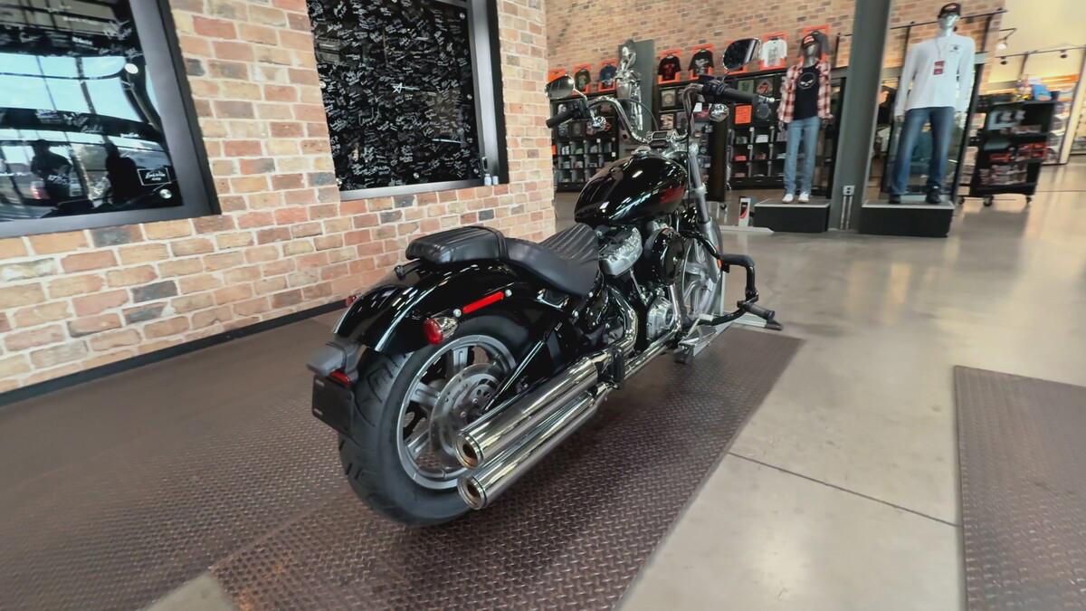 Softail® Standard