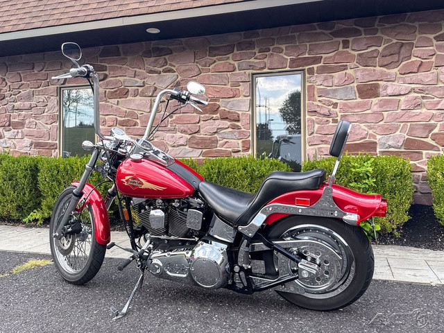 Softail® Custom