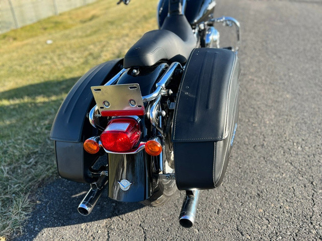 Road King® Custom