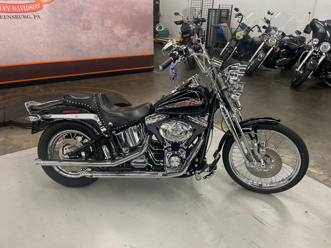 Springer® Softail®