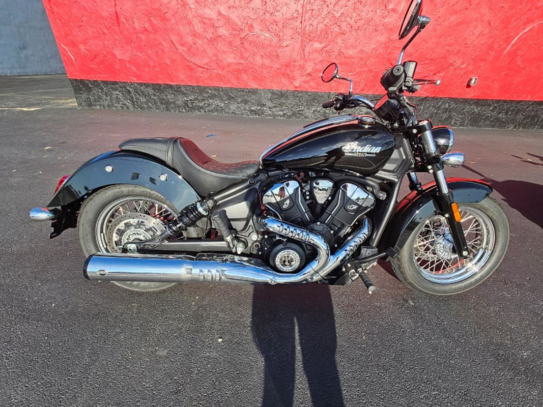 Scout Classic Limited