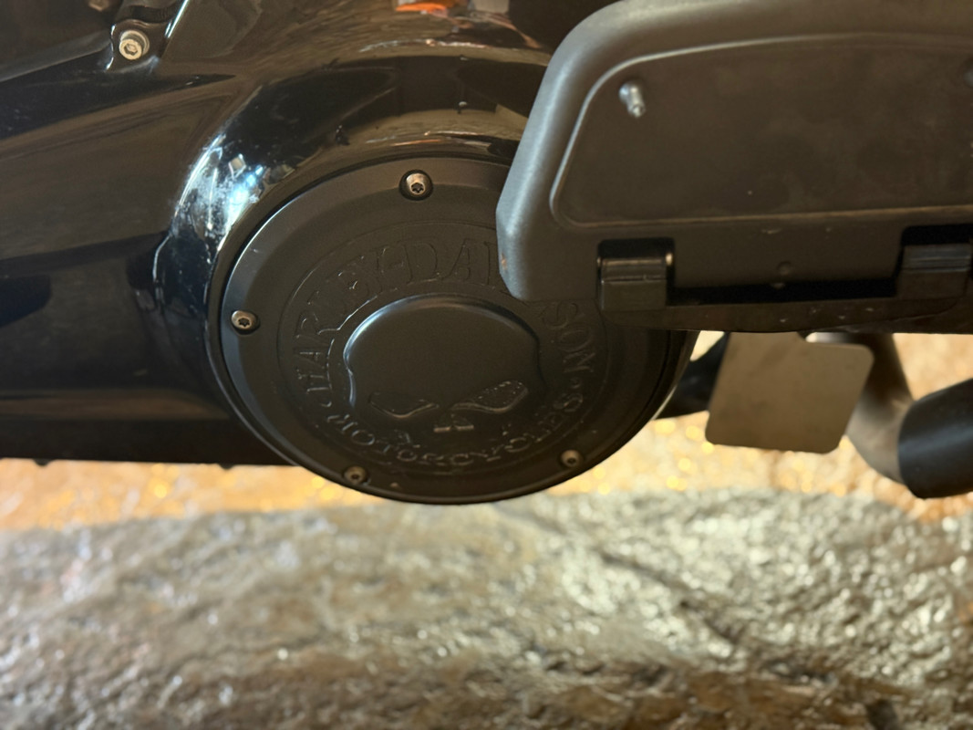 Street Glide® Special