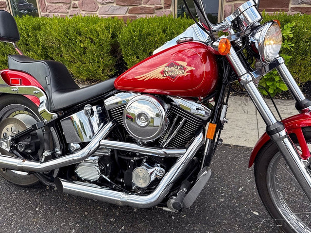 Softail® Custom