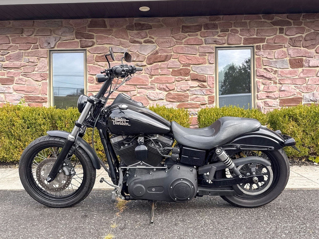 Dyna® Street Bob®