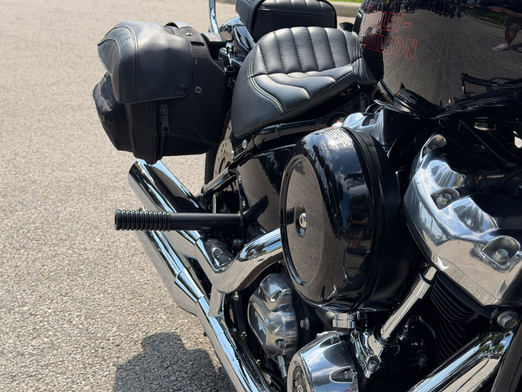 Softail® Standard