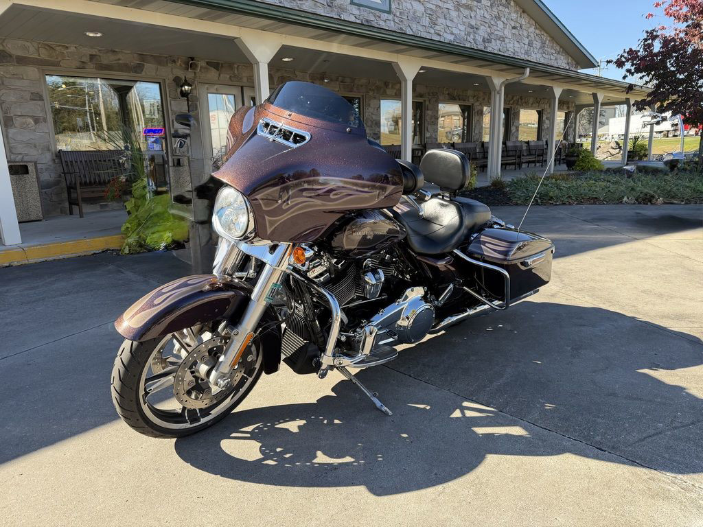 Street Glide® Special