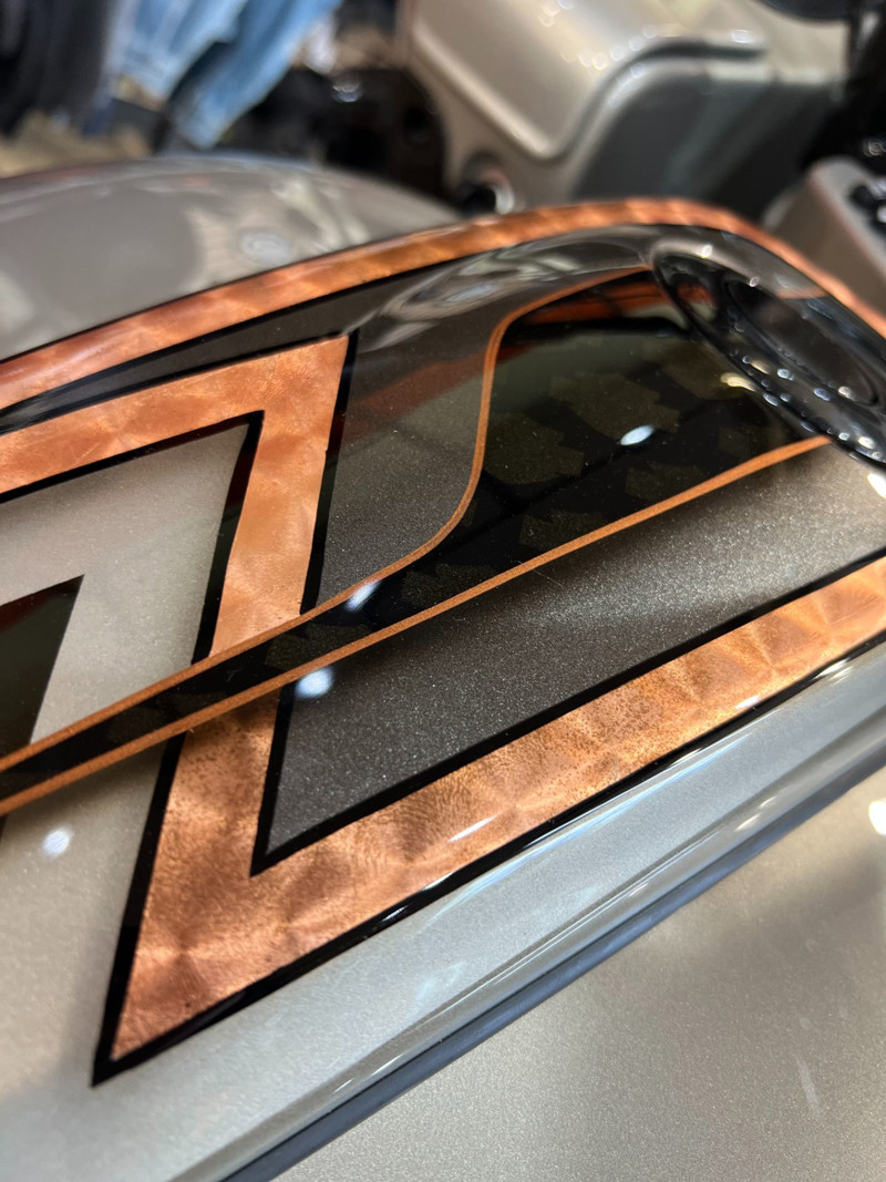 Road Glide® Special