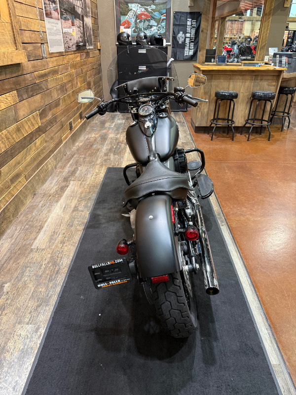 Softail® Slim®