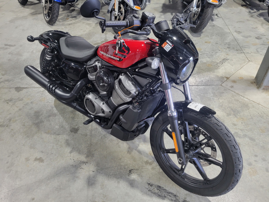 Nightster