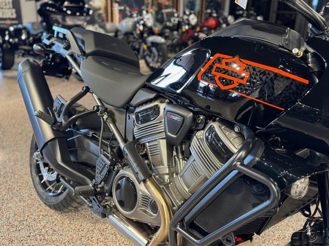 Pan America® 1250 Special