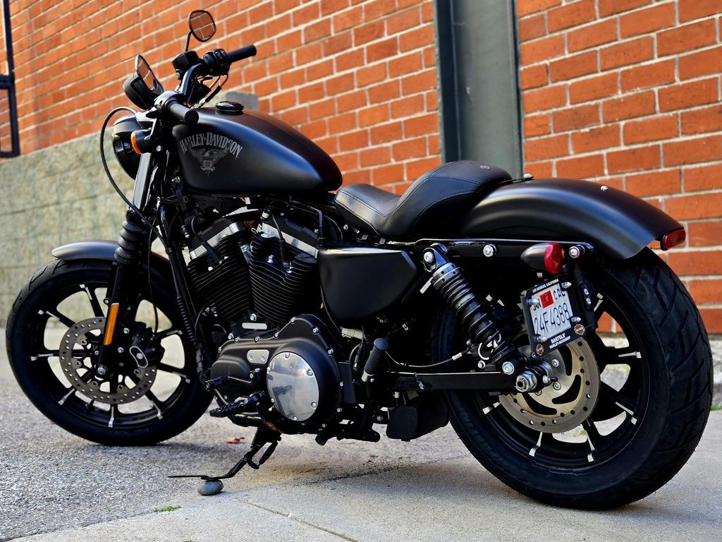 Sportster® Iron 883®