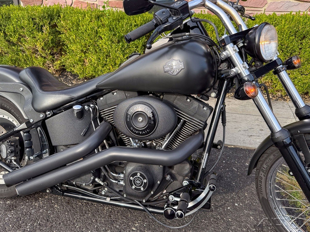 Softail® Night Train®