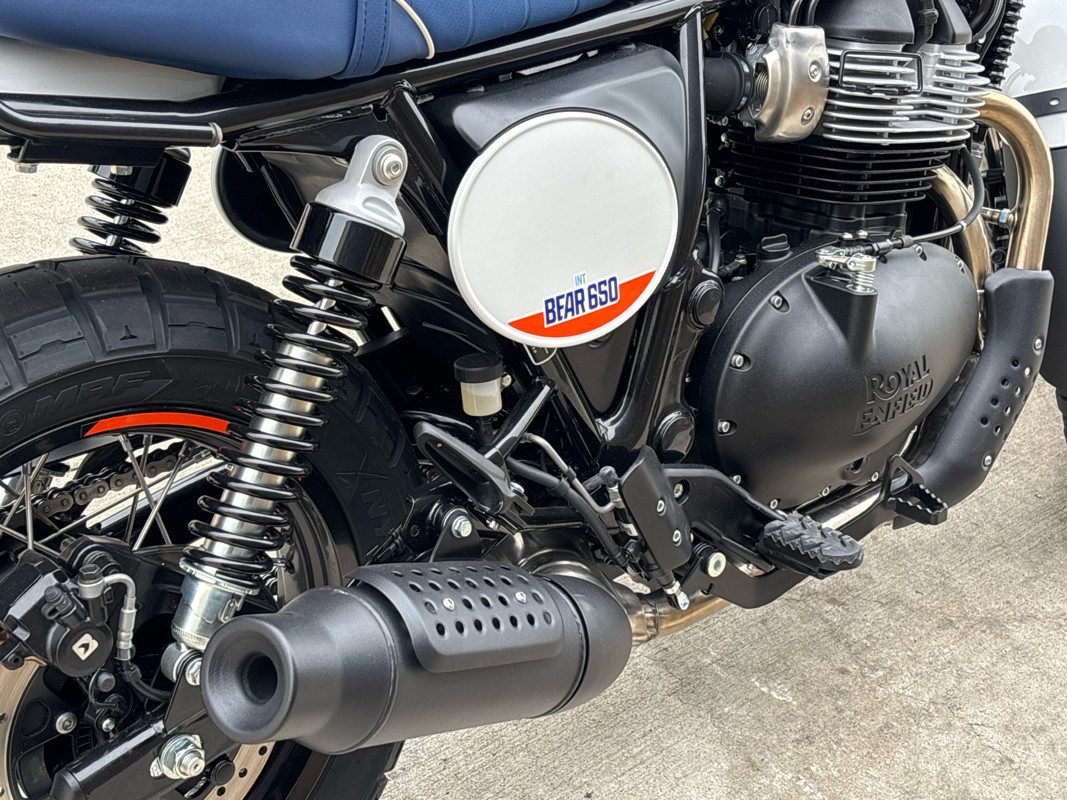 Bear 650