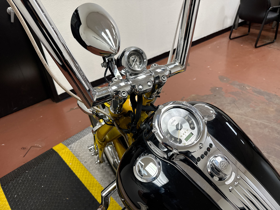 Screamin' Eagle® Softail® Springer®
