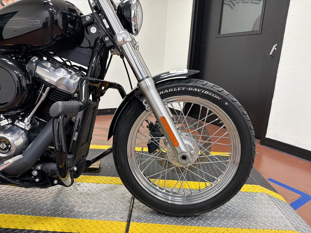 Softail® Standard