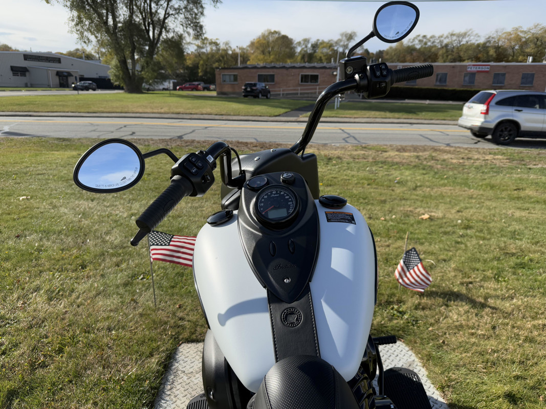 Springfield Dark Horse