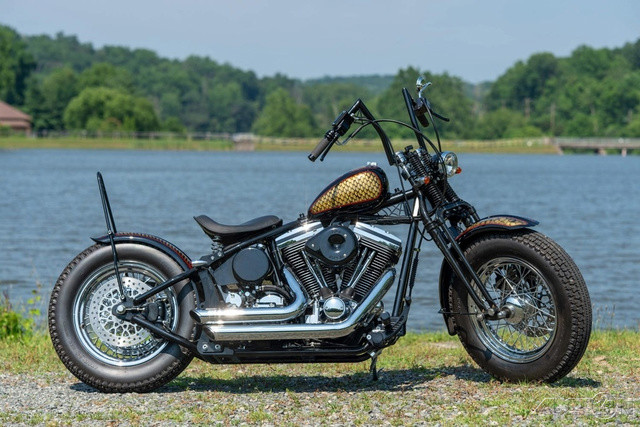 Softail® Standard