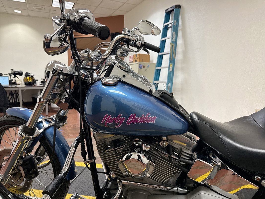 Softail® Standard