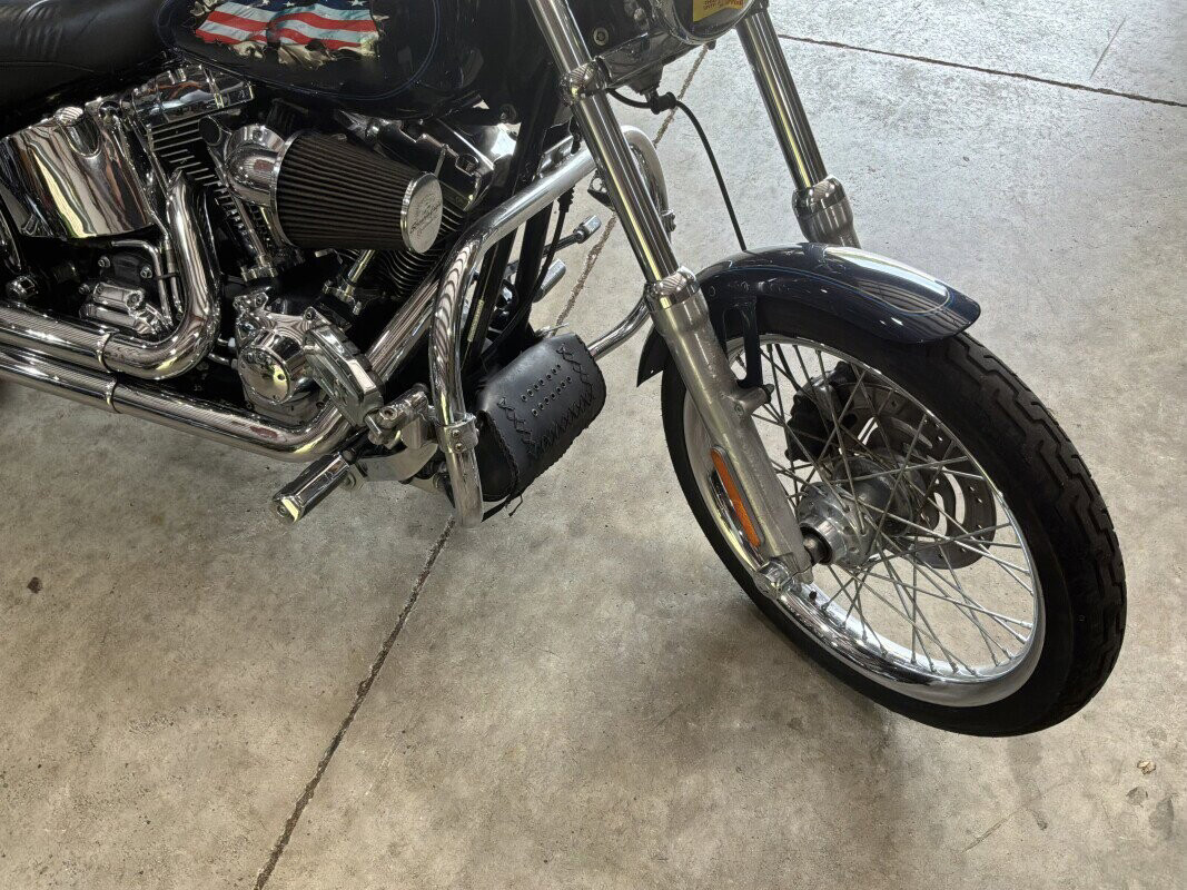 Softail® Custom