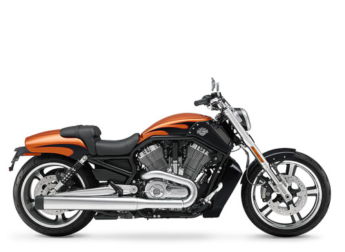 V-Rod® Muscle