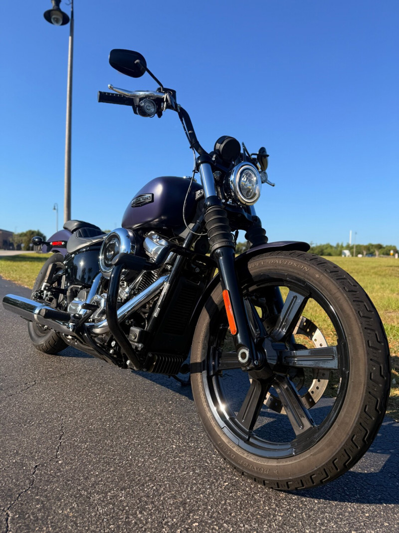 Street Bob®