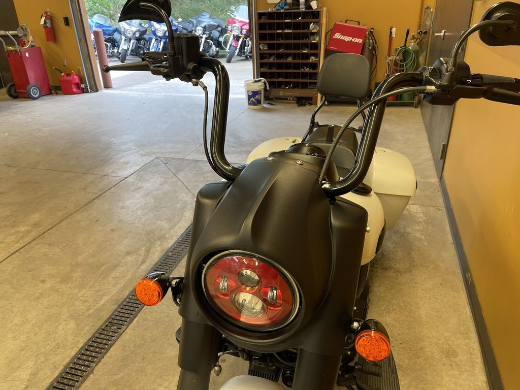 Springfield Dark Horse
