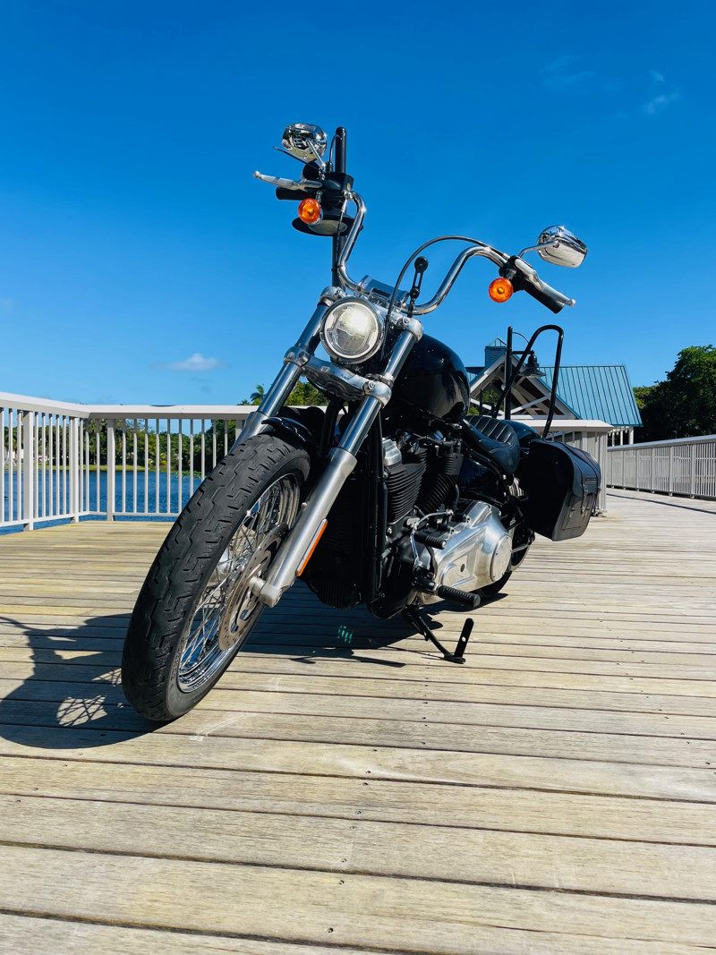 Softail® Standard
