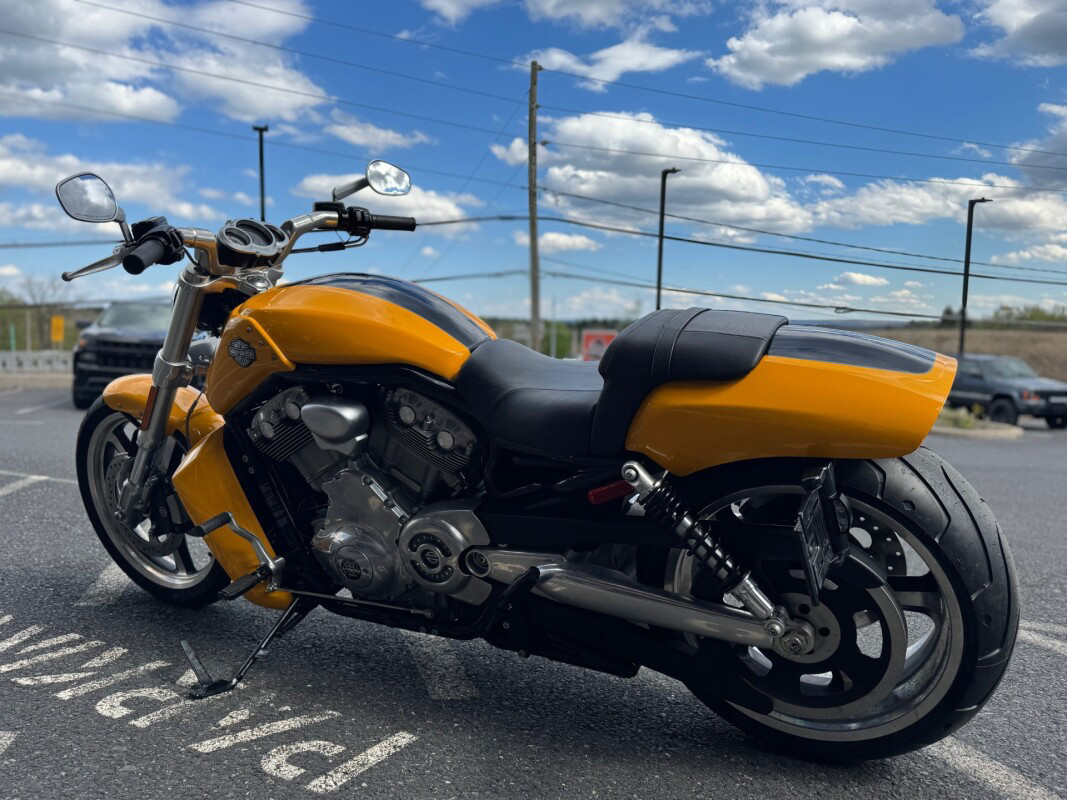 V-Rod® Muscle®