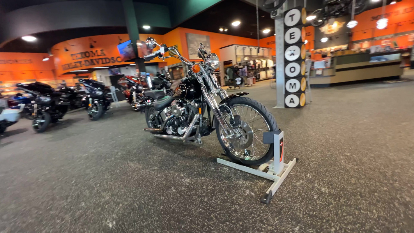 Springer® Softail®