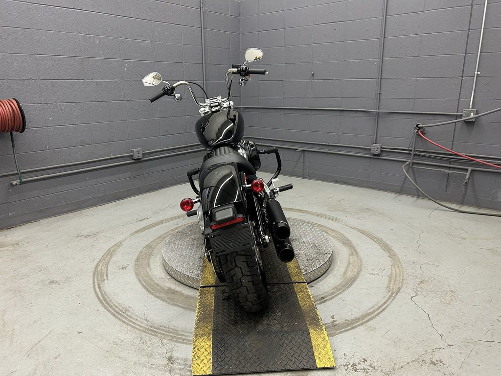 Softail® Standard