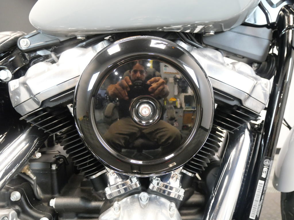 Softail® Standard