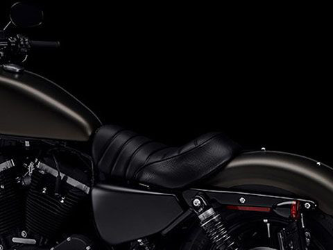 Iron 883®