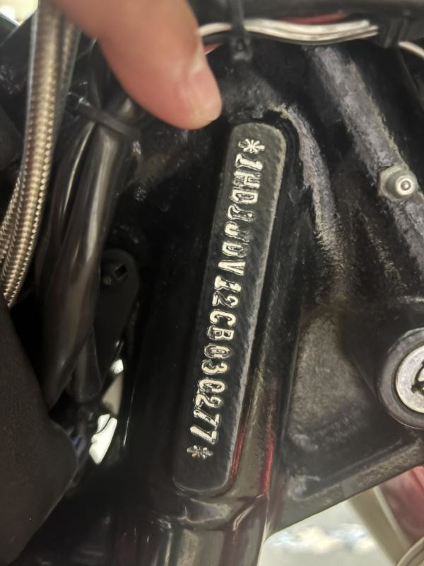 Softail® Deluxe